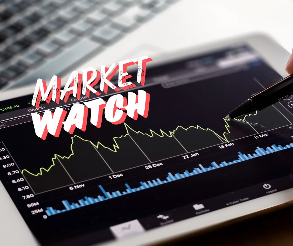 MARKET WATCH AUGUST 2024